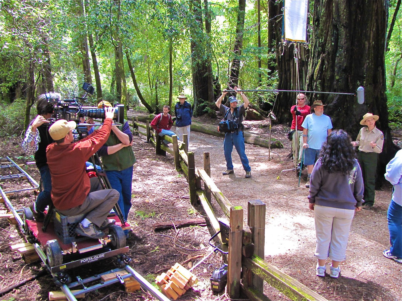 California Forever documentary of California State Parks Big Basin Park