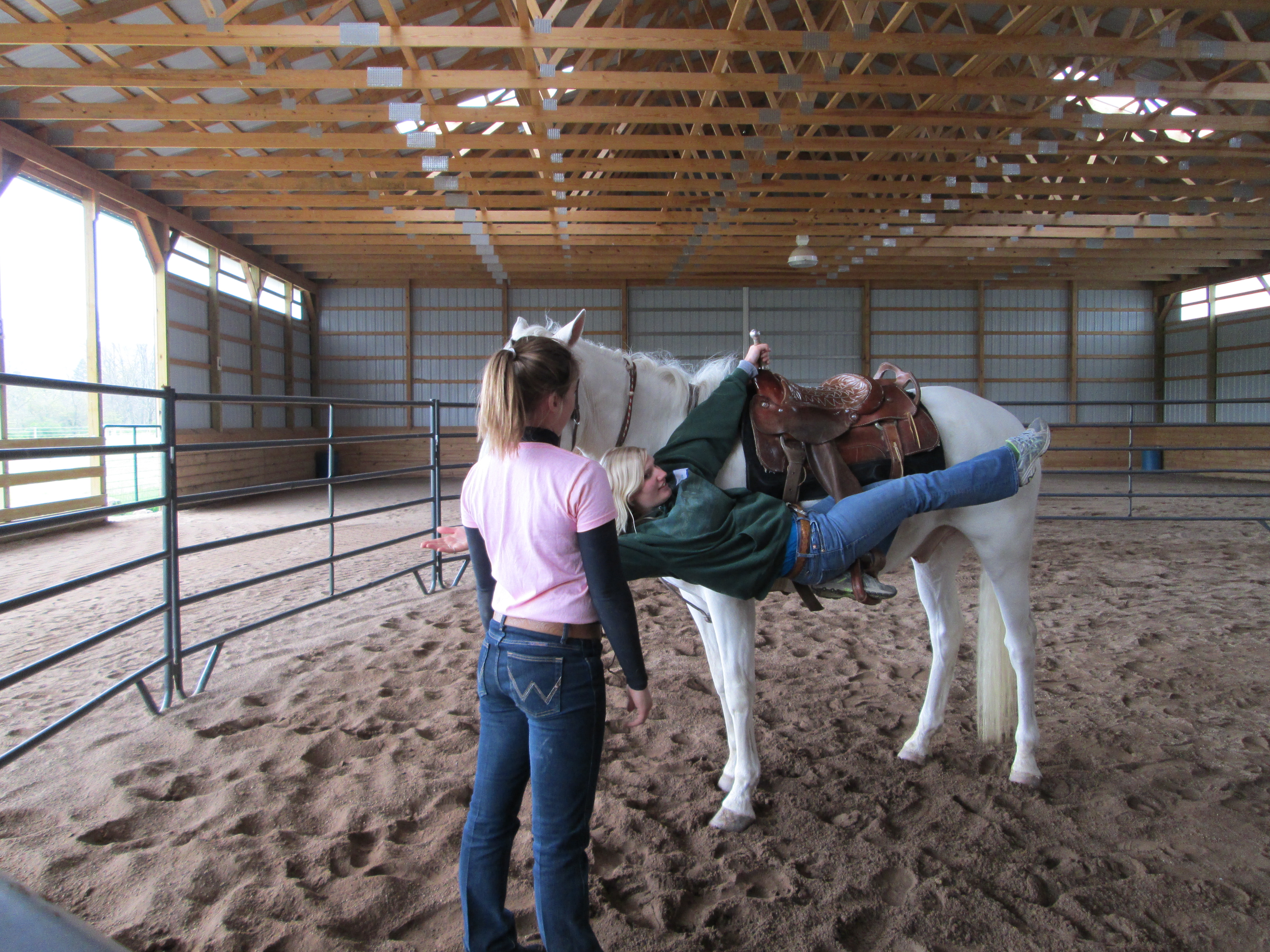 riding lessons and specialty training