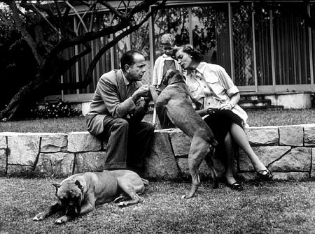 Humphrey Bogart, Lauren Bacall, and their son, Stephen, with their pet boxers at home in Los Angeles, CA, 1952.