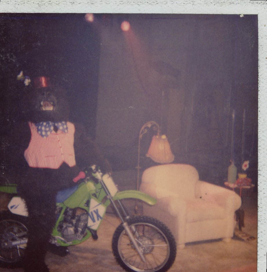 David Copeland in costume as circus bear trick riding on a motorcycle. National commercial for Woolite.