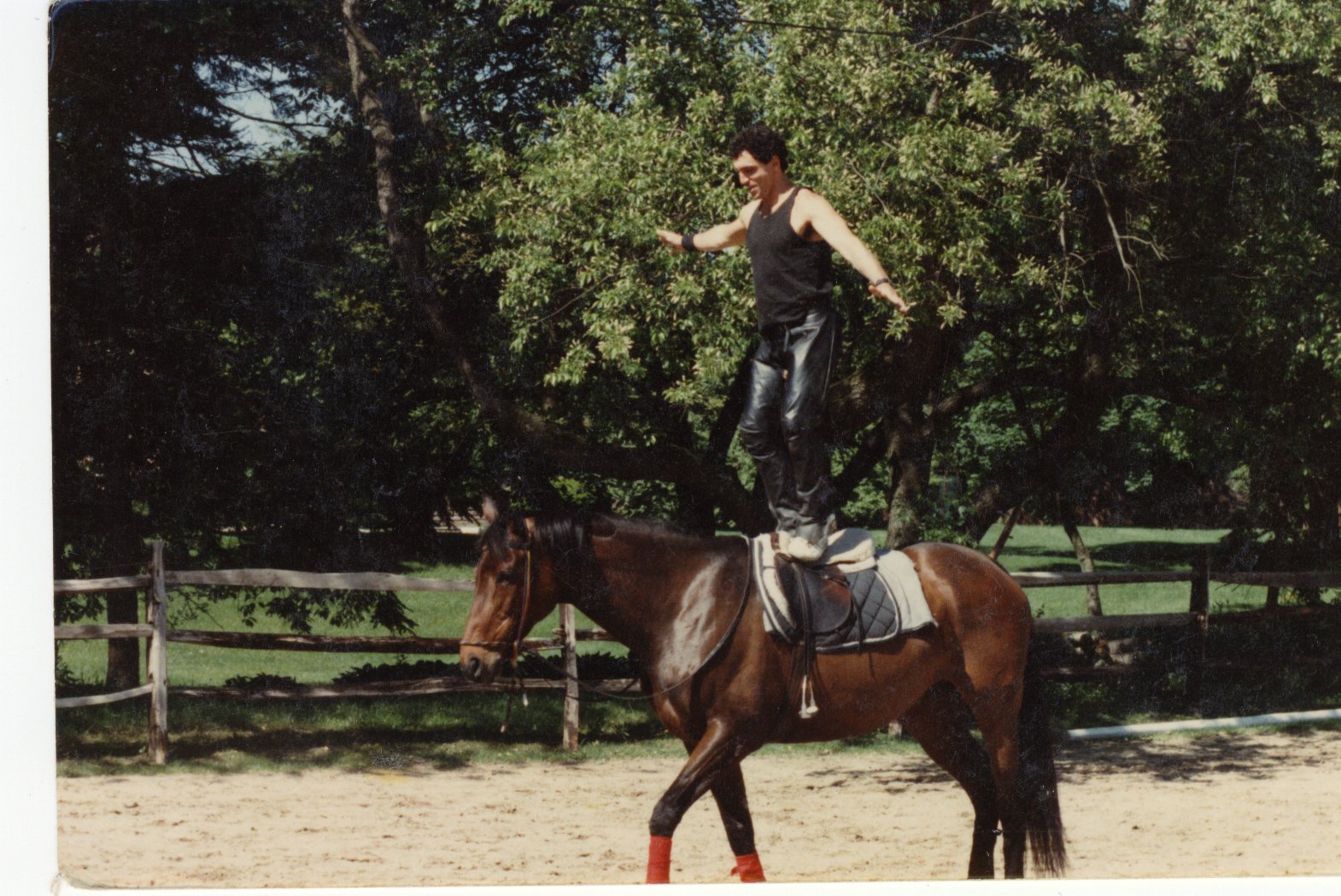 David training his Thoroughbred ... Dusty Darling.