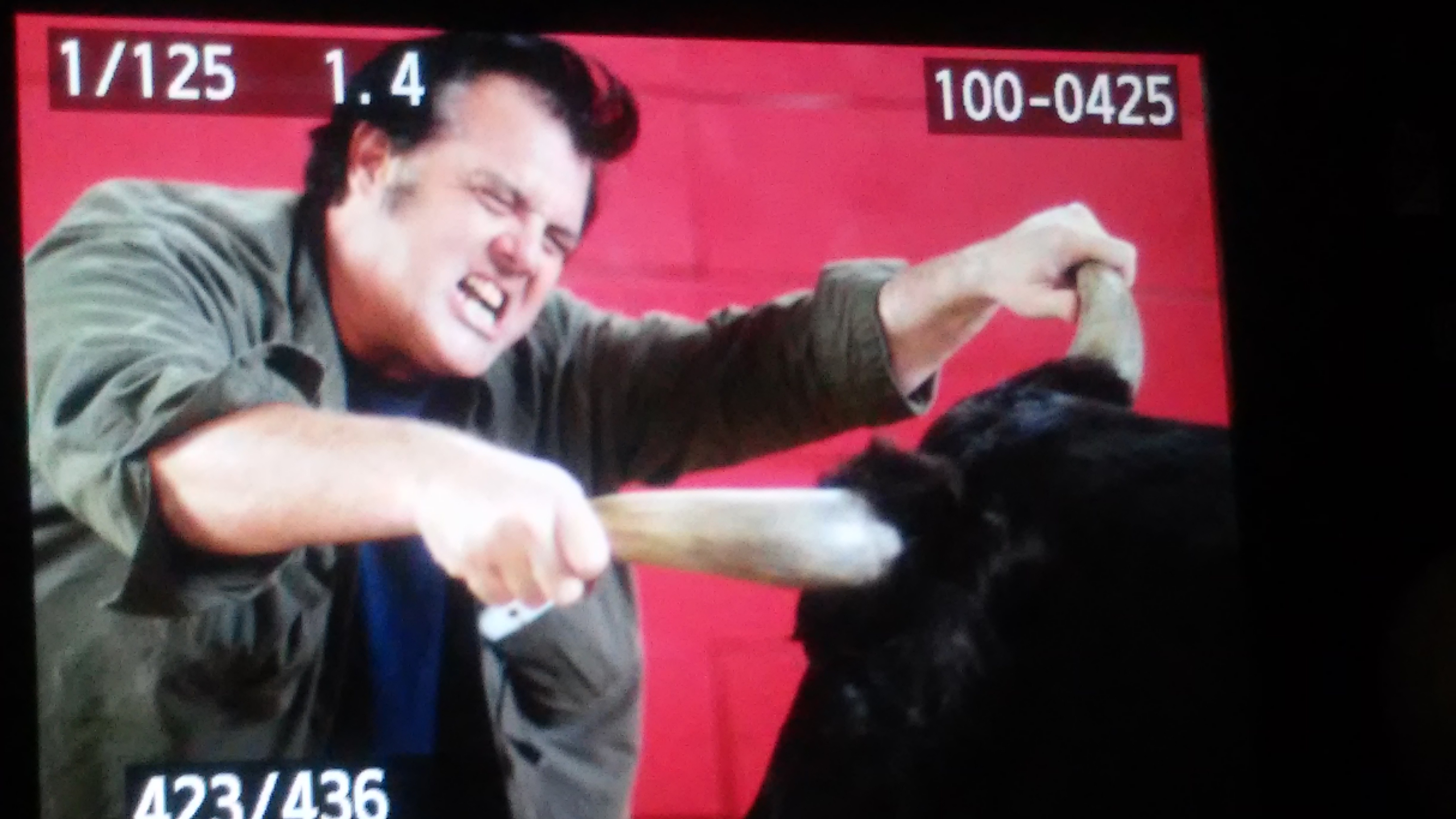 Elvis Guinan performing a BULL February 2015