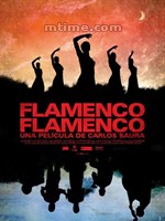 Flamenco, Flamenco