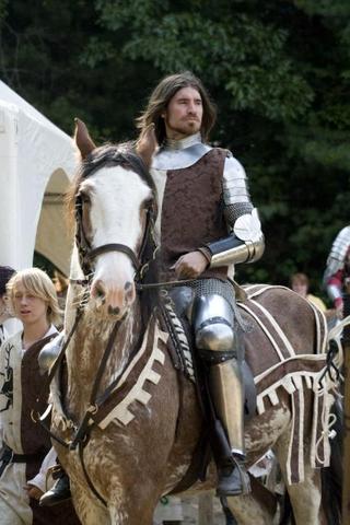 as medieval knight