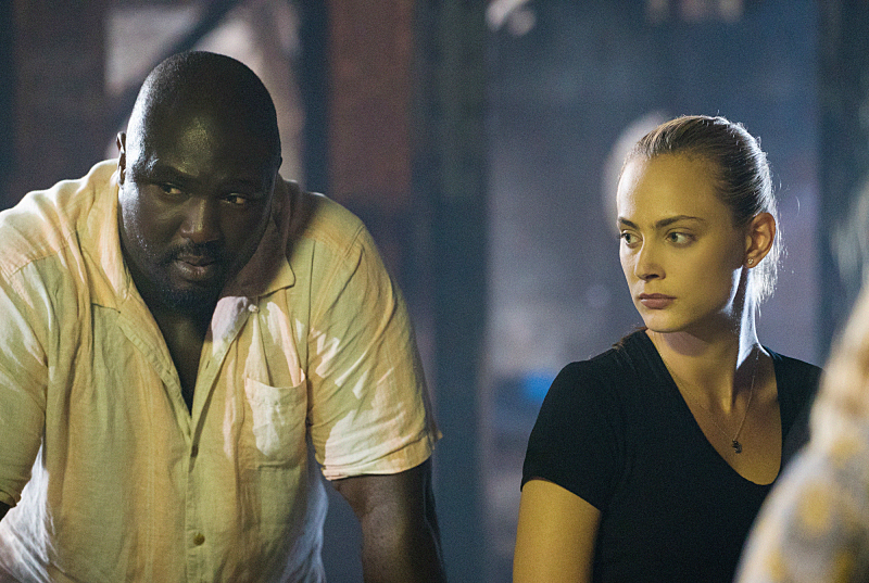 Still of Nonso Anozie and Nora Arnezeder in Zoo (2015)
