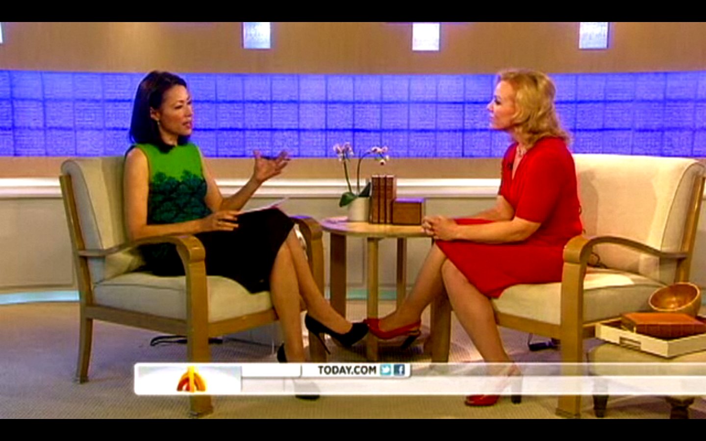 The Today Show, April 23rd, 2012 - Discussing the Isabel Celis case.
