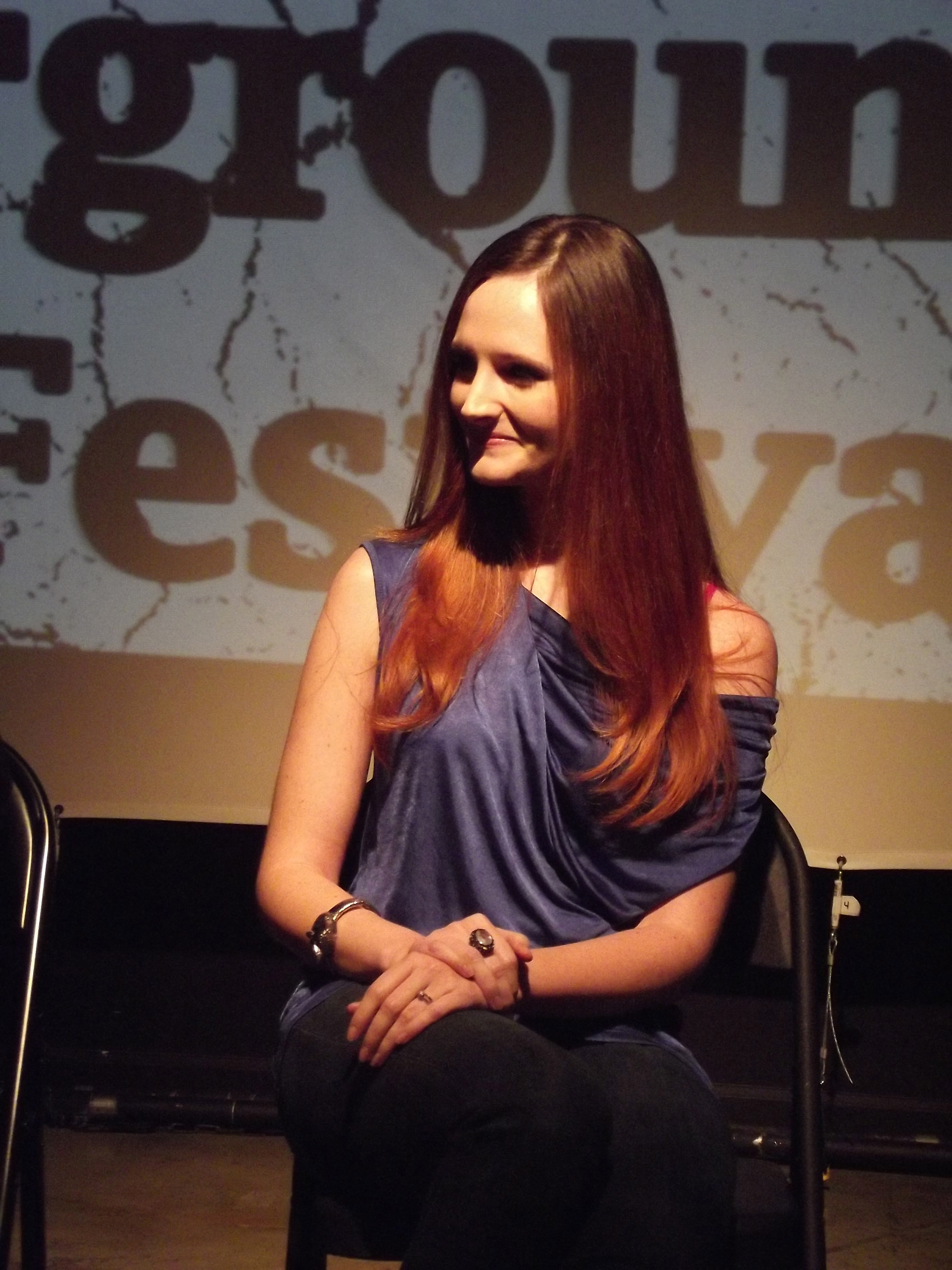 Hollis McLachlan on the filmmakers' panel for the Los Angeles International Underground Film Festival, 2012.