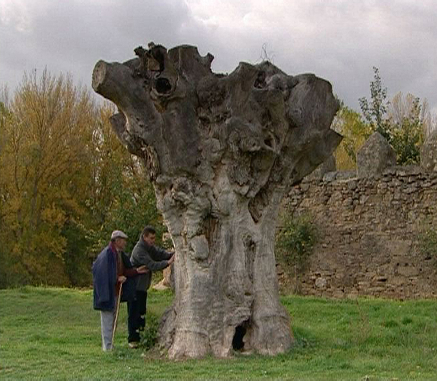 Still of Peio Azketa and Antonino Martínez in El cielo gira (2004)