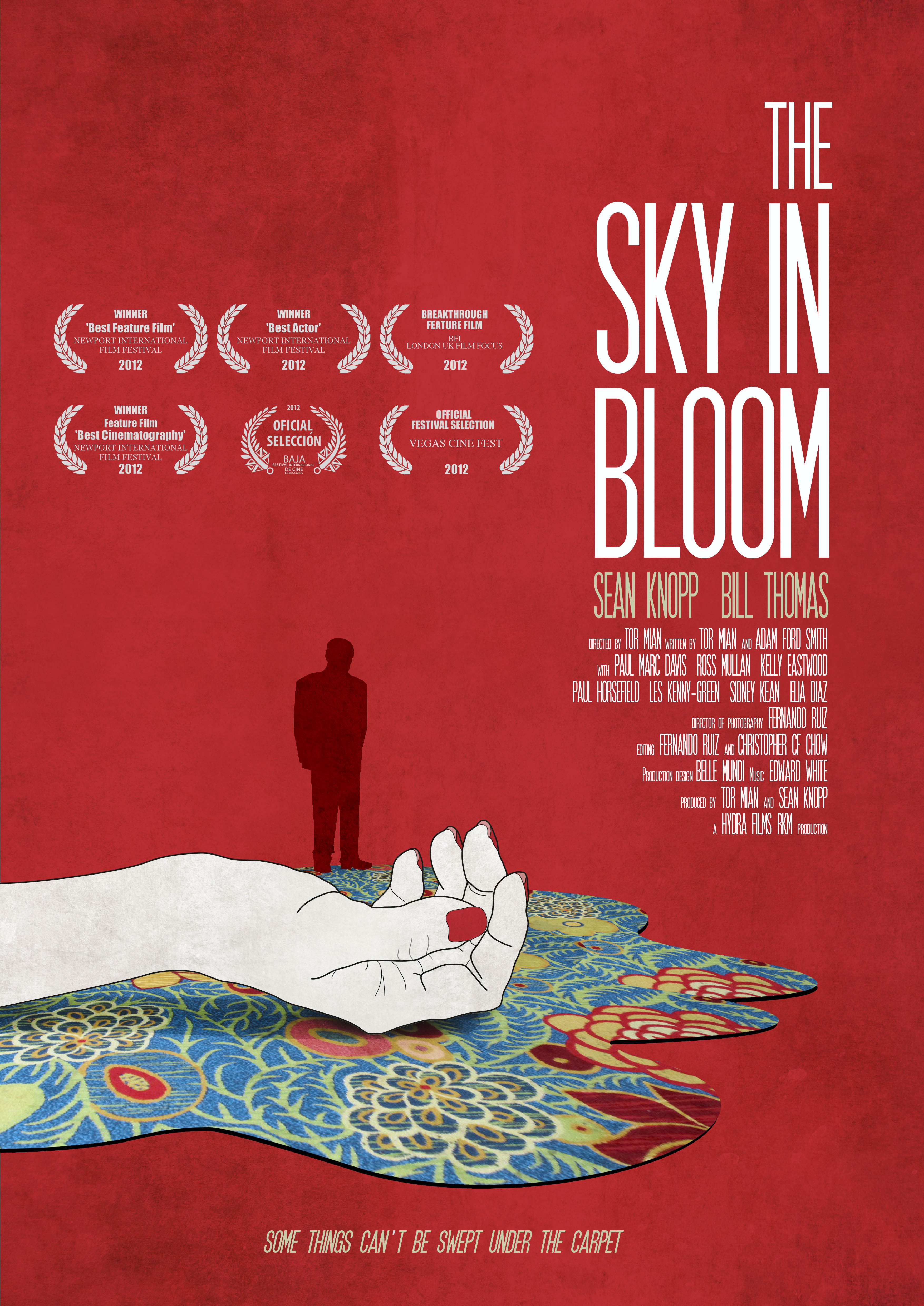 Sean Knopp, Toor Mian and Fernando Ruiz in The Sky in Bloom (2013)