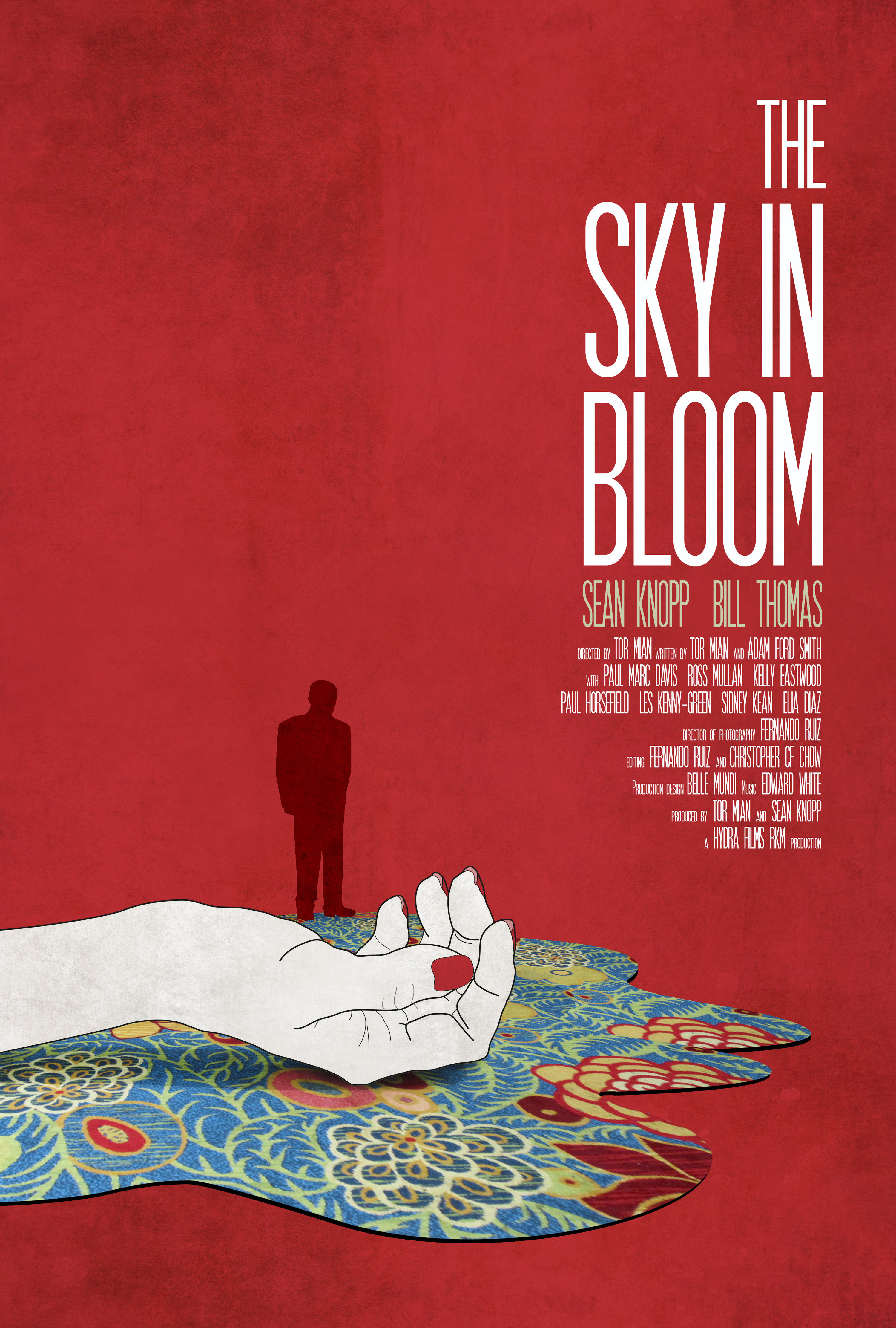 Sean Knopp, Toor Mian and Fernando Ruiz in The Sky in Bloom (2013)