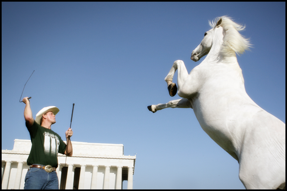 Wayne McCormack and Blanco, Shadowfax horse off Lord of the Rings. Washington DC