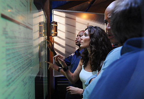 Still of LL Cool J and Daniela Ruah in NCIS: Los Angeles (2009)