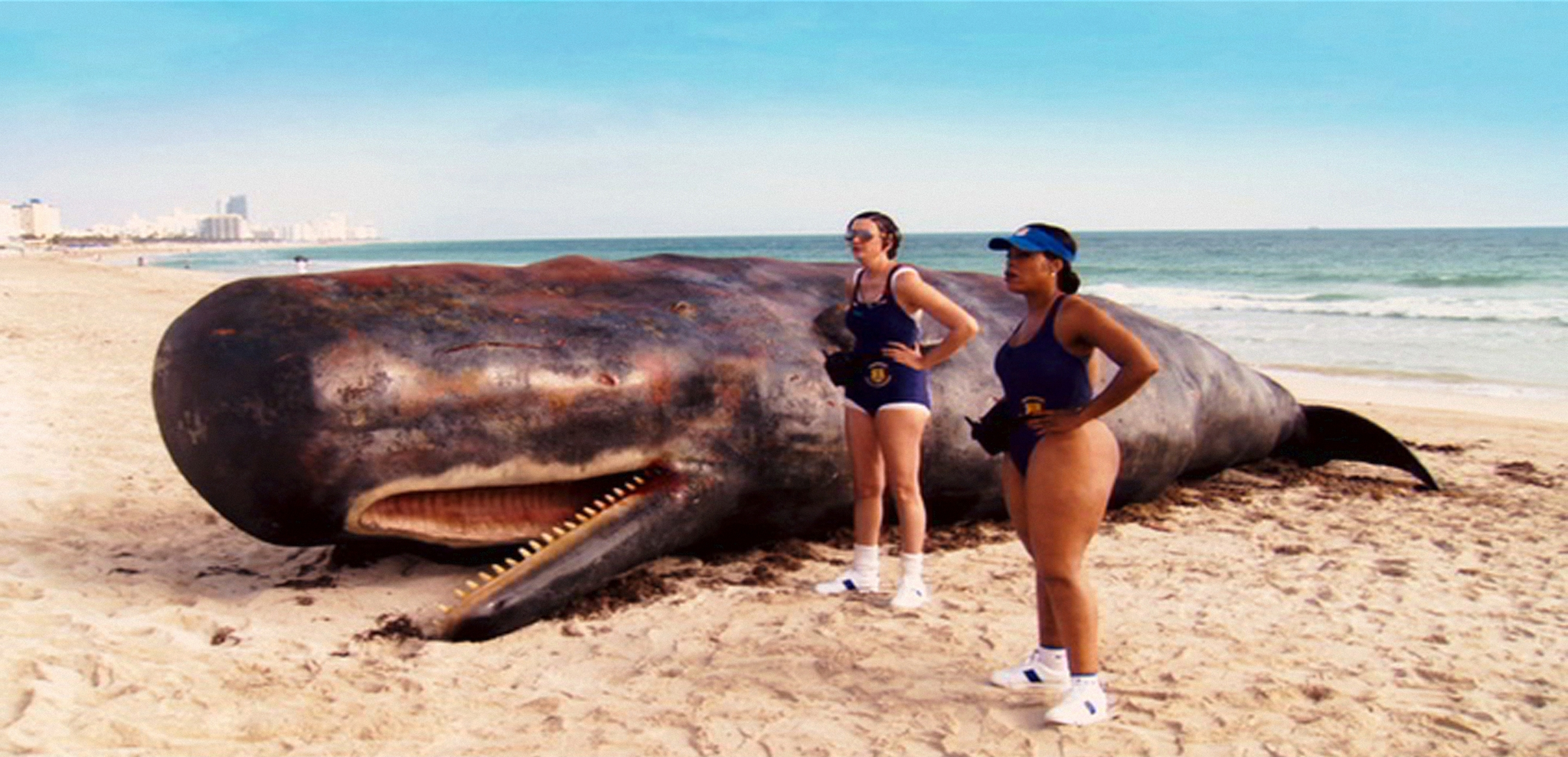 Still of Kerri Kenney and Niecy Nash in Reno 911!: Miami (2007)