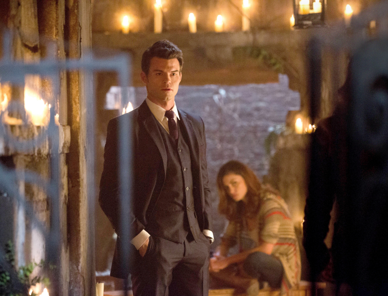Still of Daniel Gillies and Phoebe Tonkin in The Originals (2013)