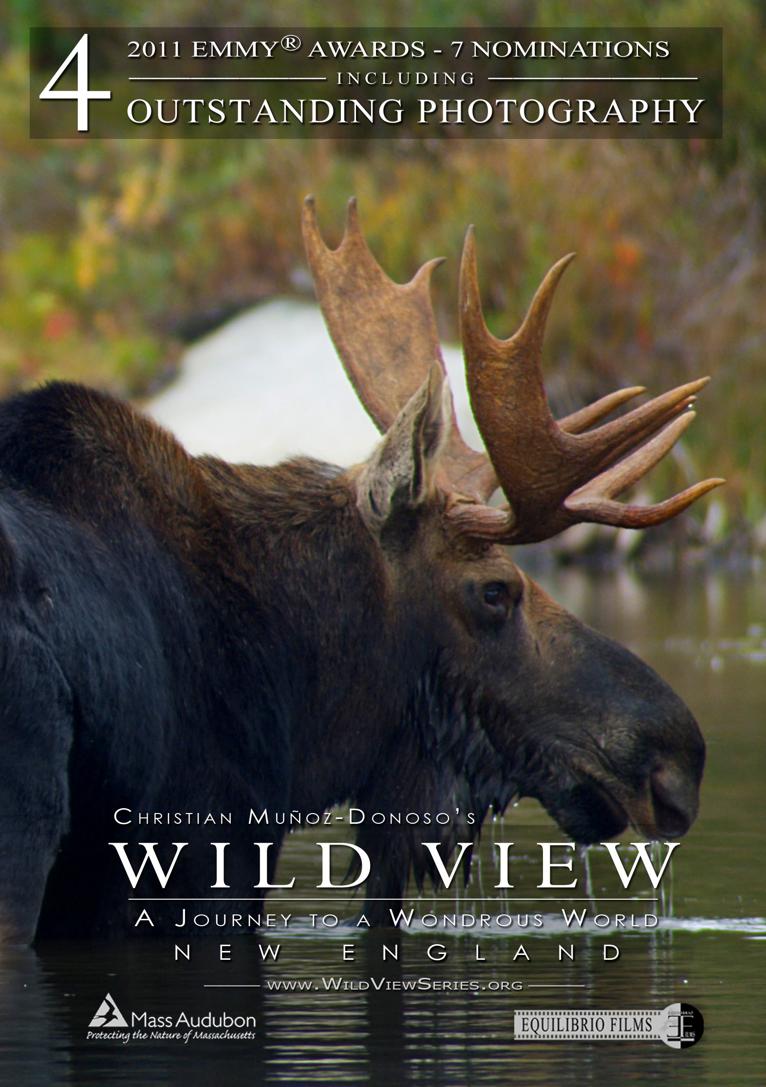 Wild View: a Journey to a Wondrous World