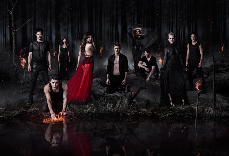 Matthew Davis, Kat Graham, Ian Somerhalder, Paul Wesley, Zach Roerig, Michael Trevino, Steven R. McQueen, Candice Accola and Nina Dobrev in Vampyro dienorasciai (2009)