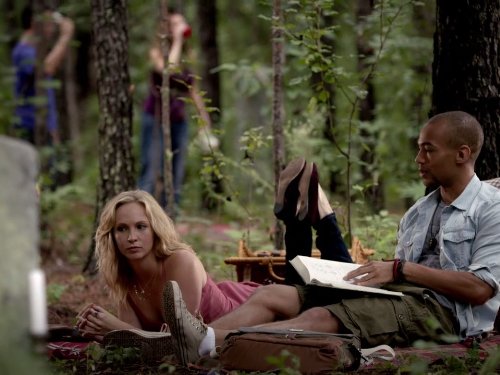 Still of Candice Accola and Kendrick Sampson in Vampyro dienorasciai (2009)