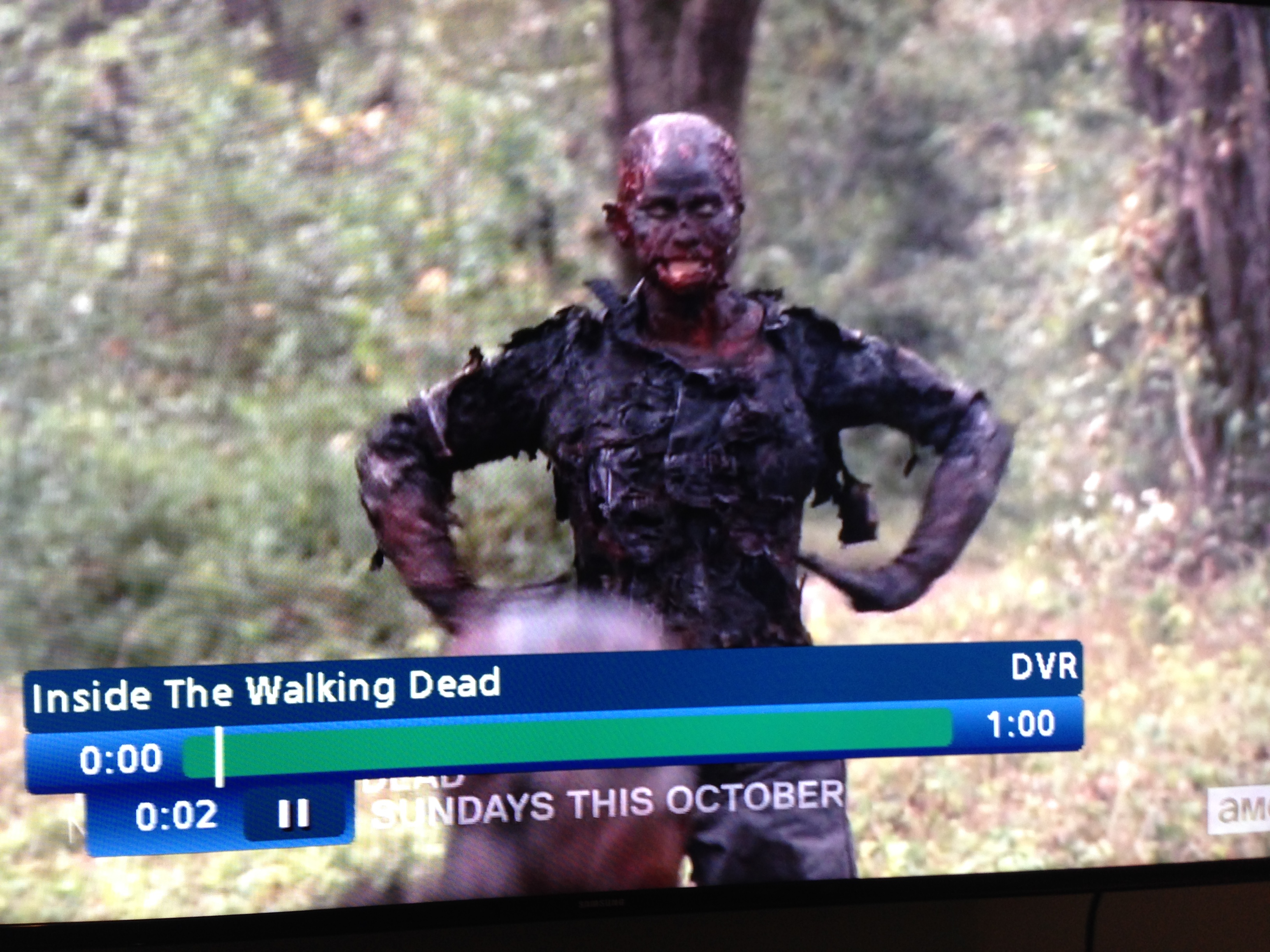 Stuntwoman Karin Justman on The Walking Dead Season 4 Episode 414 