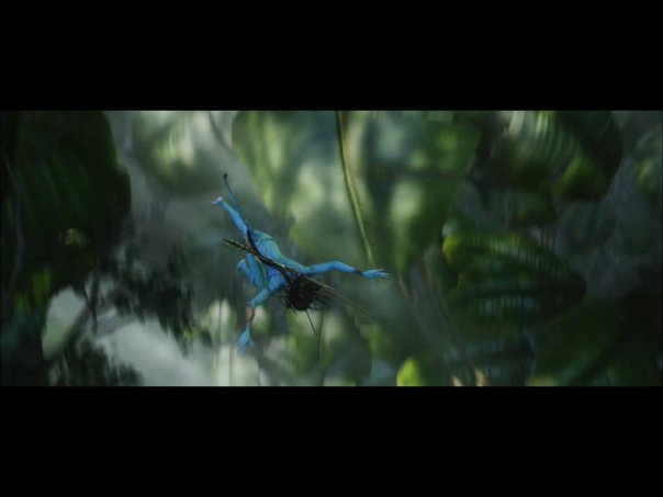 Neytiri's stunt double on Avatar
