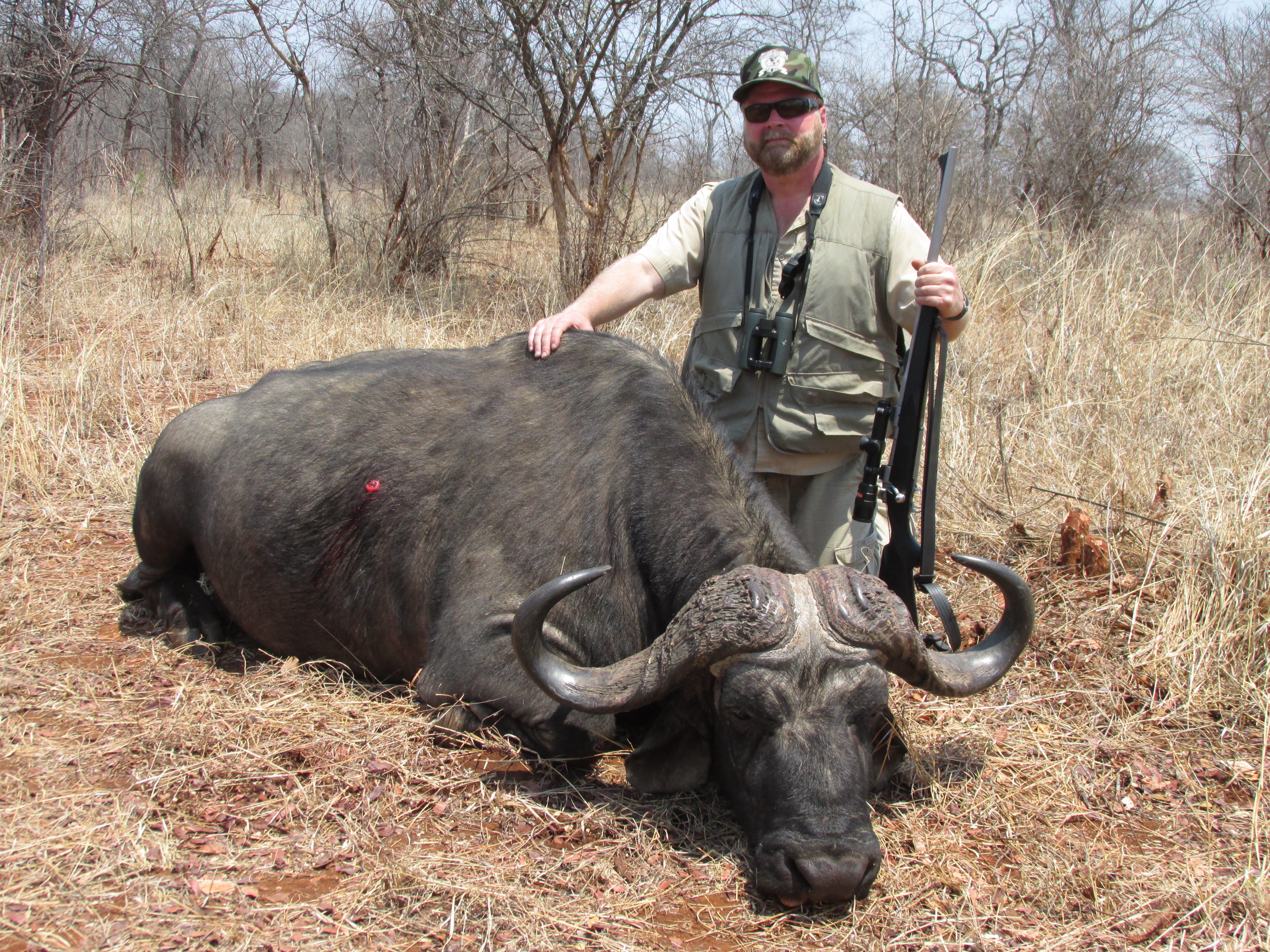 Buck McNeely with a Cape Buffalo Bull in Zimbabwe Africa.