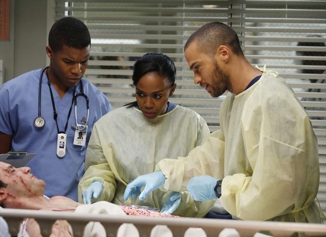 Still of Richard Kahan, Jesse Williams, Jerrika Hinton and Gaius Charles in Grei anatomija (2005)