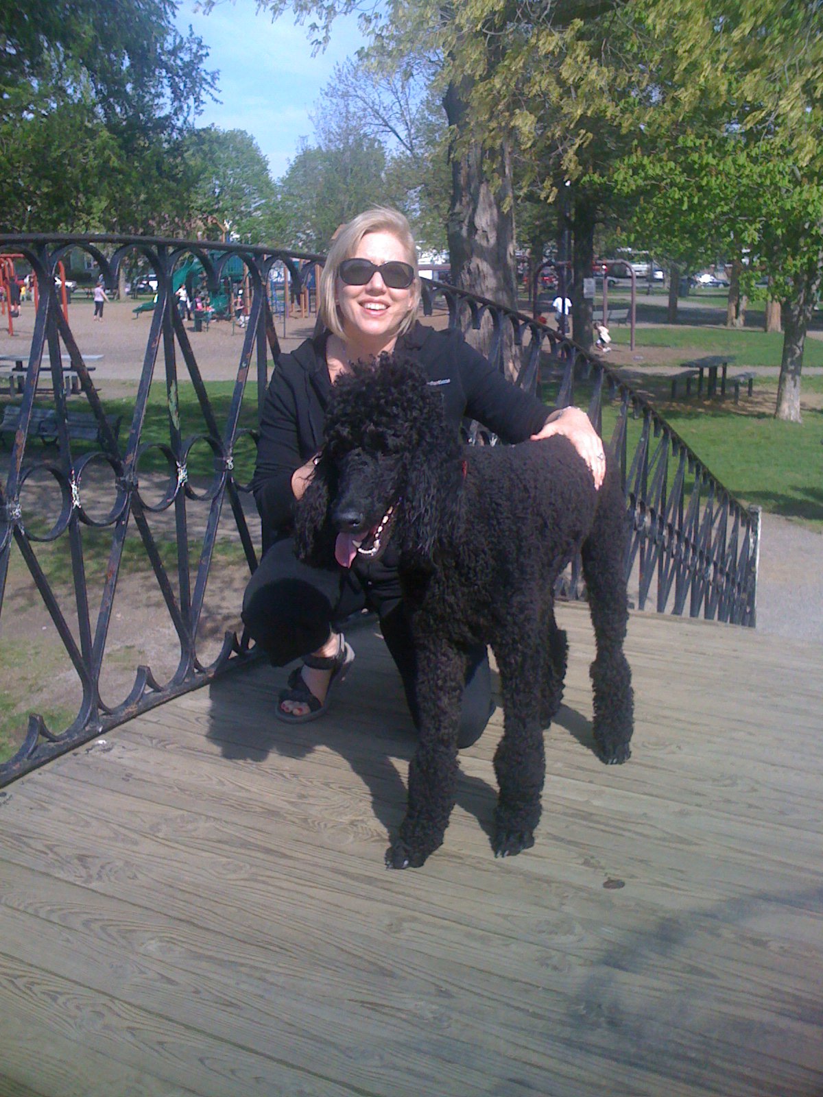Barbara Guertin and Cooper (Standard Poodle)