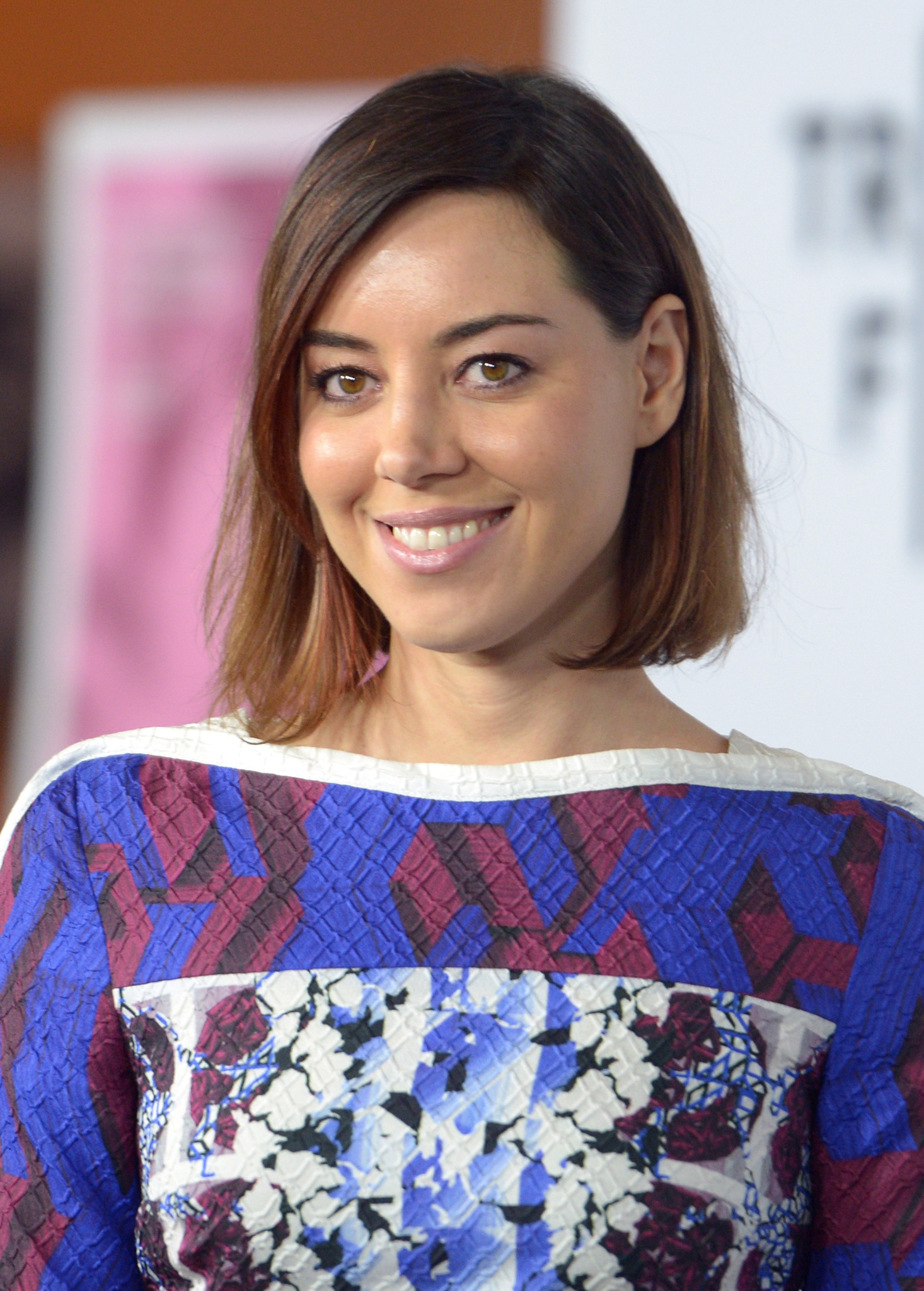 Aubrey Plaza at event of Palo Alto (2013)