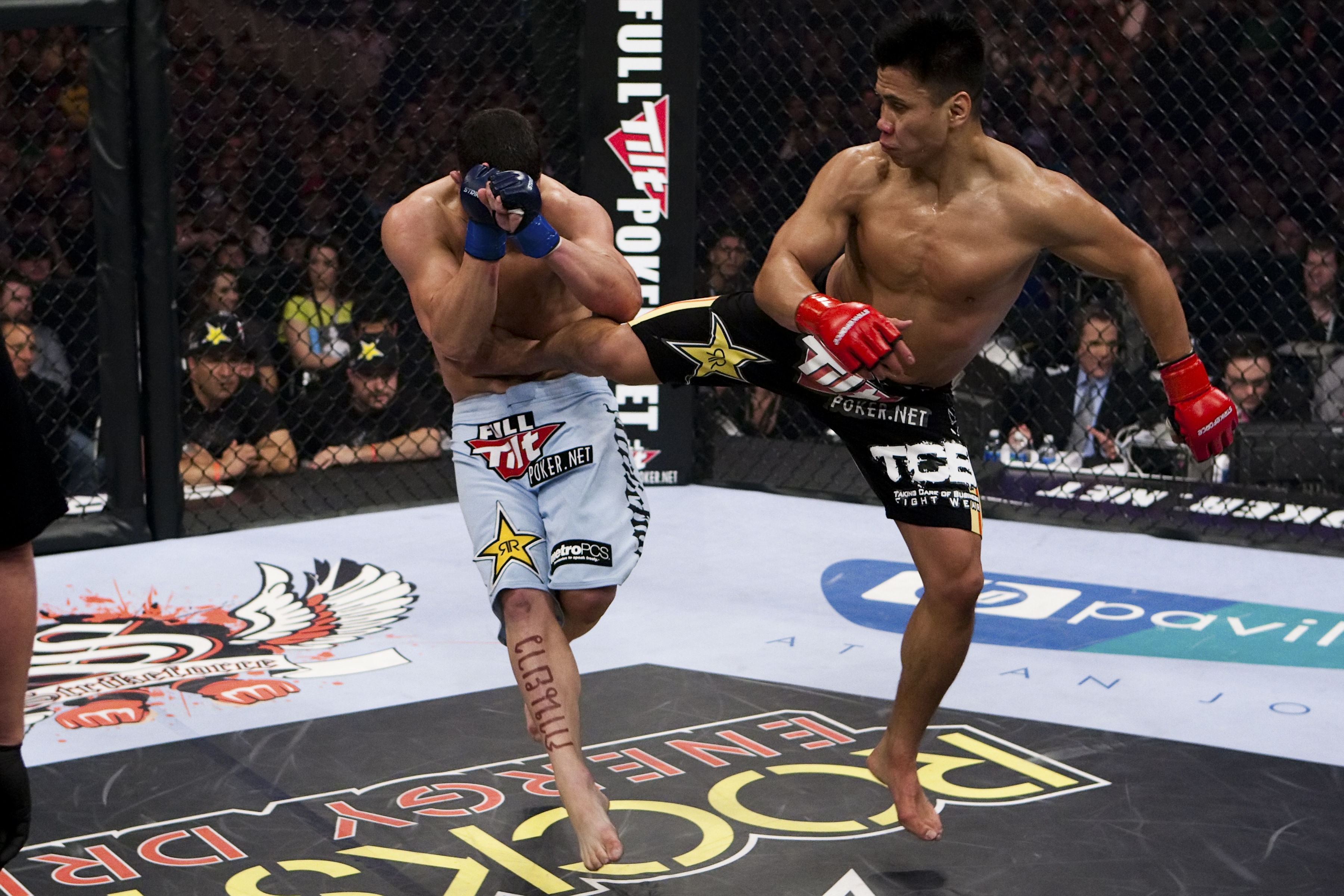 Cung Le's spinning back kick.