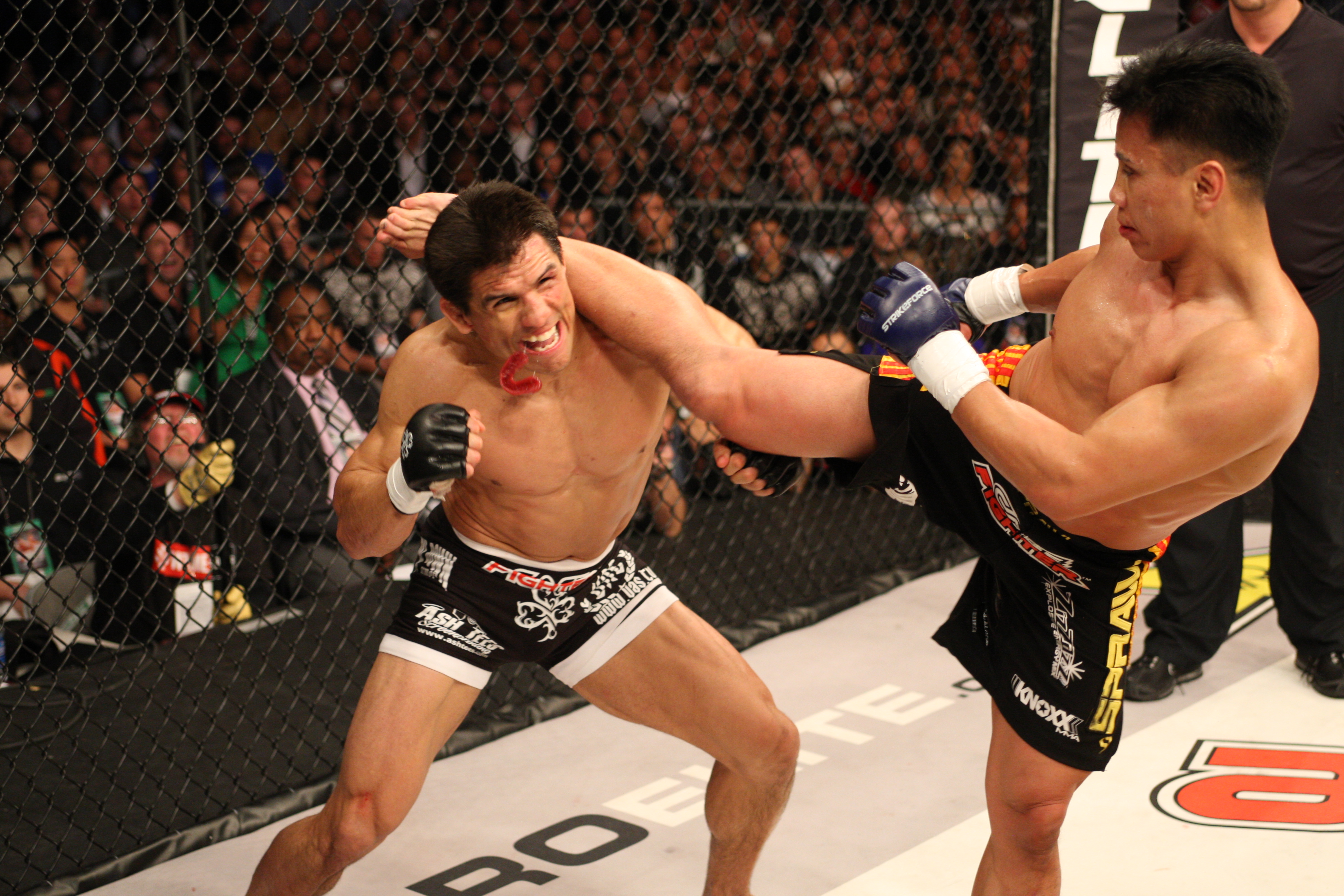 Cung Le TKO Frank Shamrock in the 3 rd