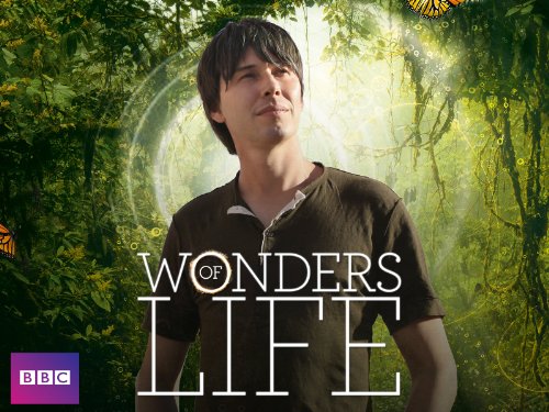 Brian Cox in Wonders of Life (2013)