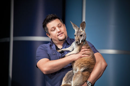 David Mizejewski shows a red kangaroo joey during his Keynote of the National Science Teacher Association conference. November 1, 2012