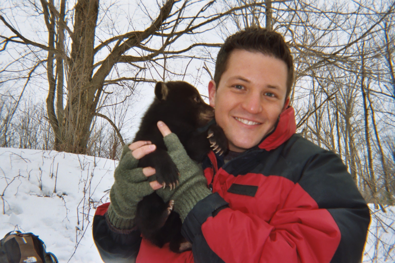 David Mizejewski working with biologists in upstate New York to tag a mother bear and check on health of her newborn cubs. From Animal Planet's Springwatch USA 2007 mini-series.