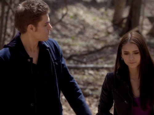 Still of Paul Wesley and Nina Dobrev in Vampyro dienorasciai (2009)