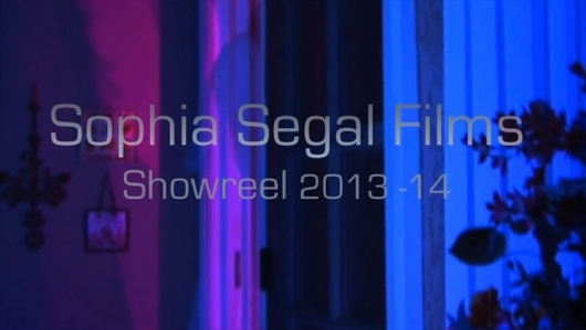 Sophia Segal Films Reel 2013-2014