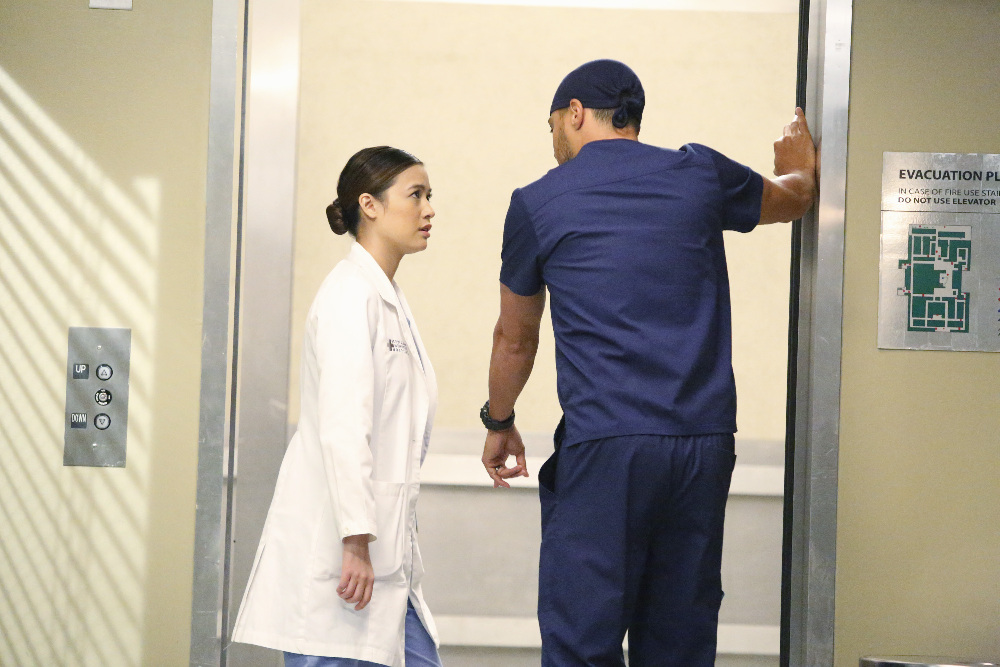 Irene Keng and Jesse Williams in Grey's Anatomy