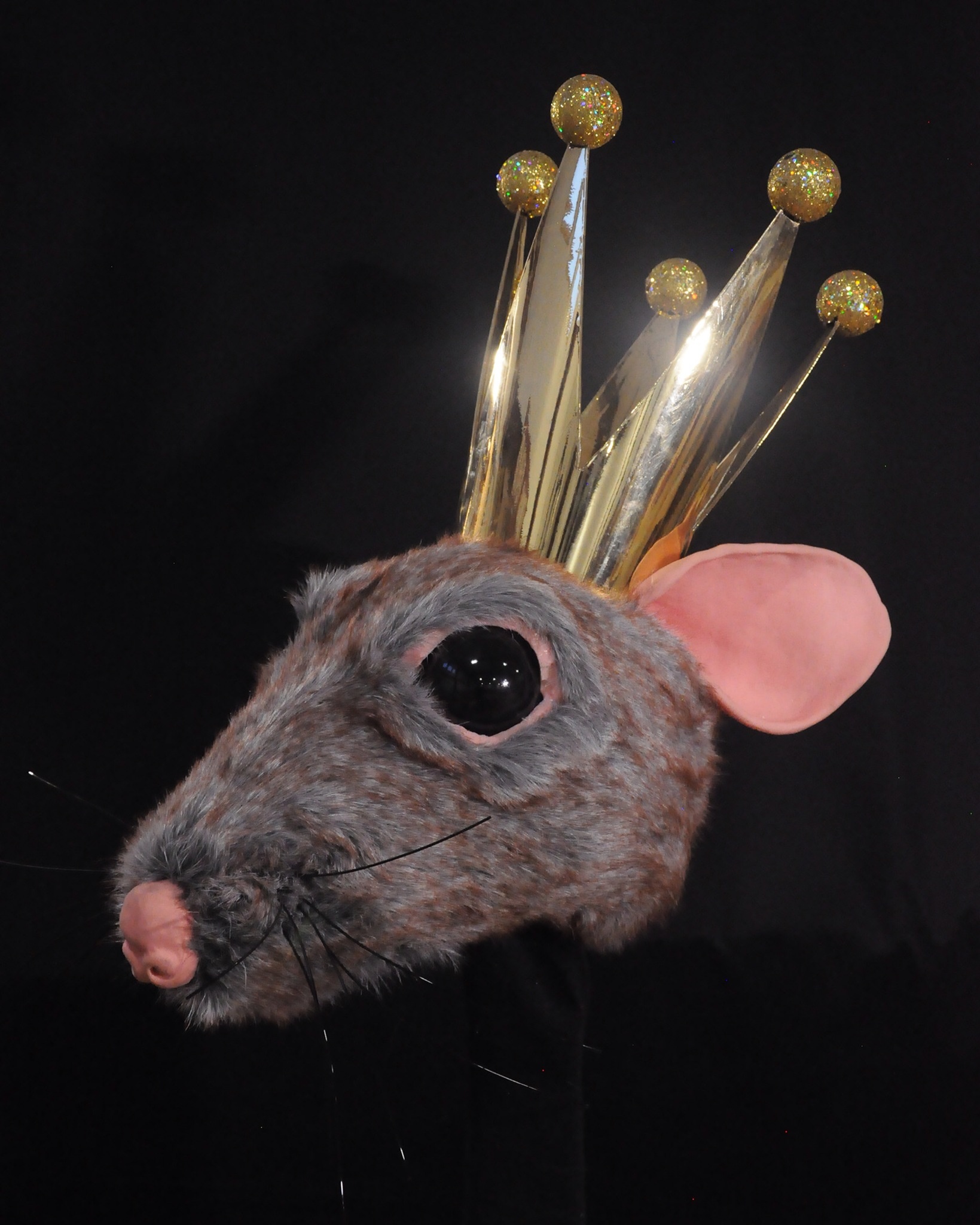 The Rat King for The Longmont Dance Theatre's 