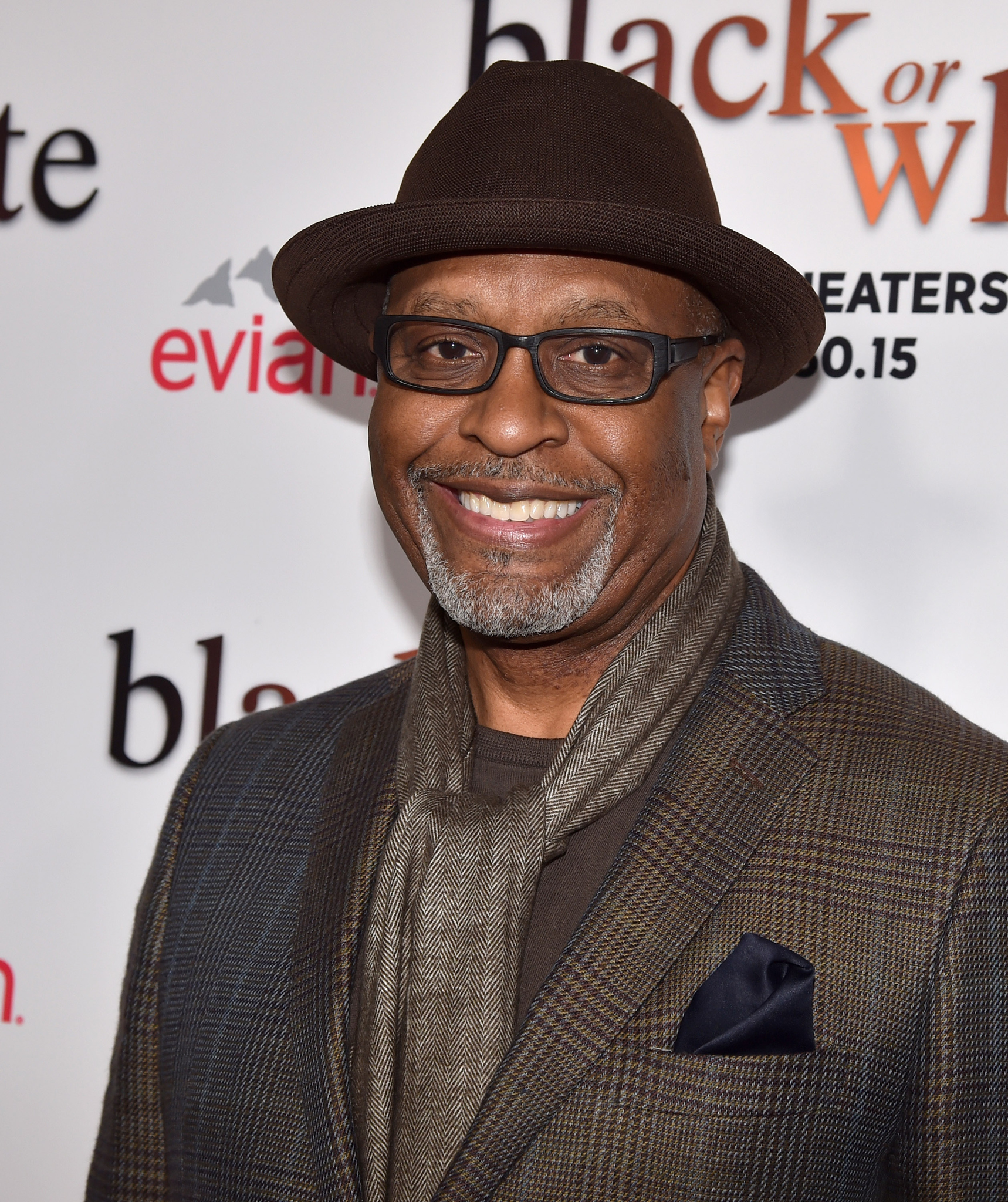 James Pickens at event of Black or White (2014)