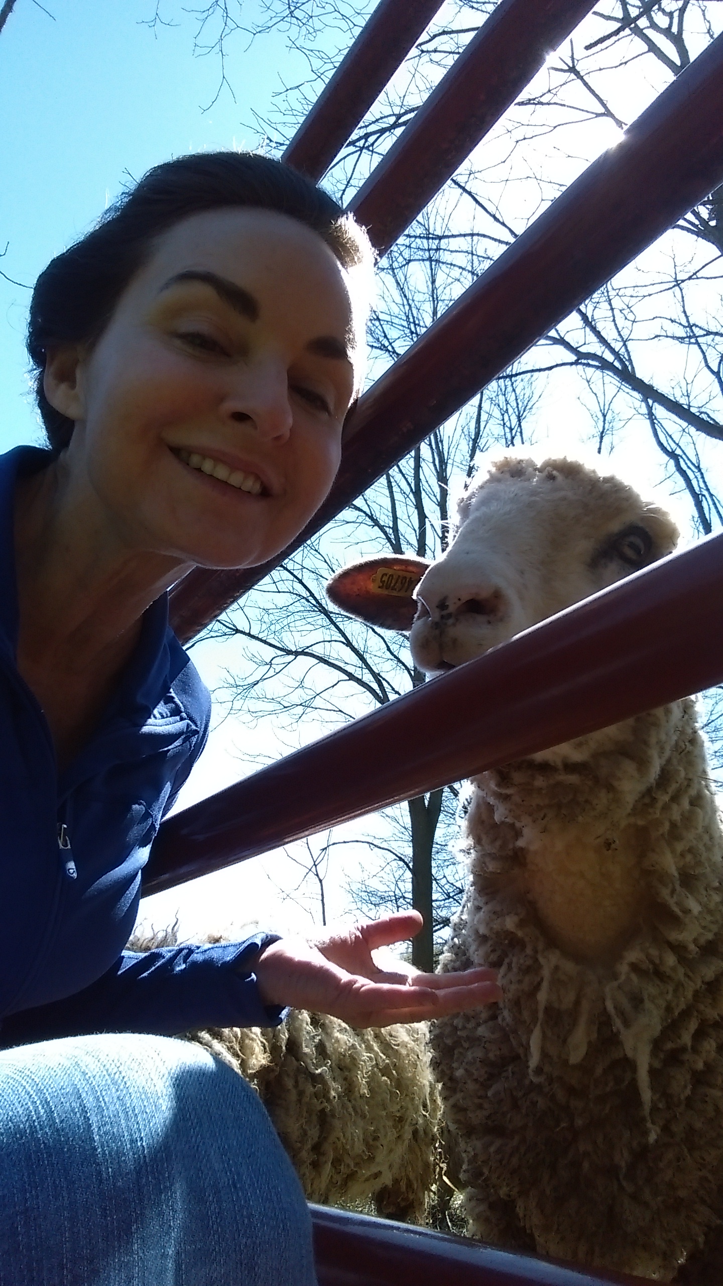 Belle sheep Selfie! Belle Gunness Story