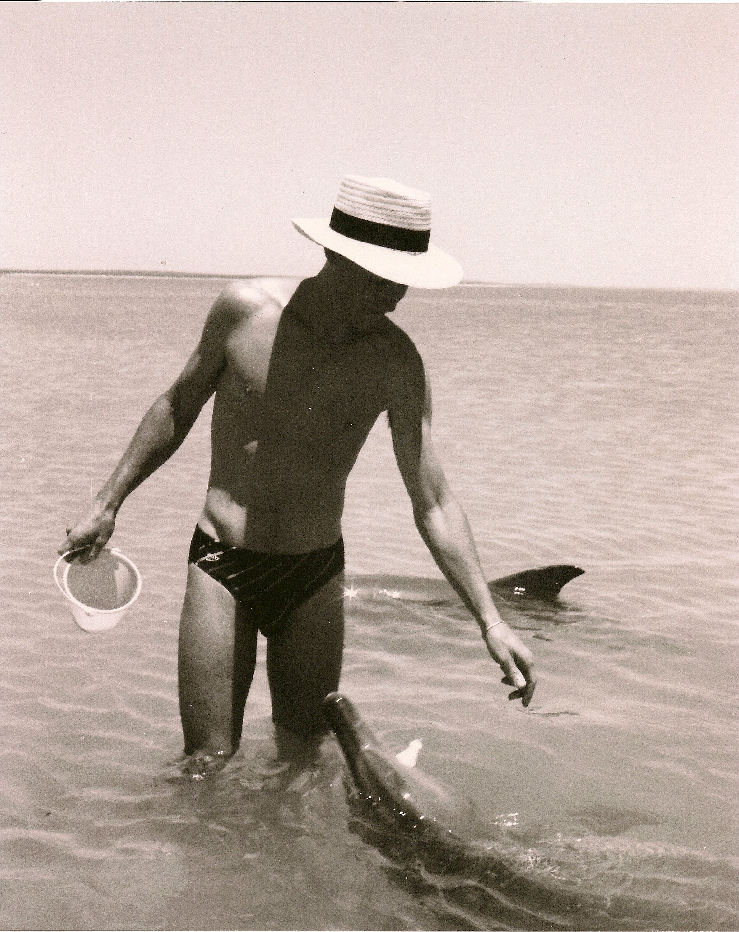 Clinton Morgan at Monkey Mia, circa 1986. Dolphins still come to the shore to this day.