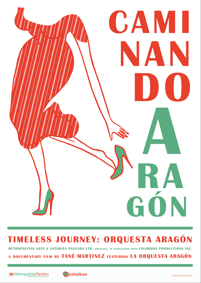 Poster of Caminando Aragón a documentary Film by Tané Martinez.