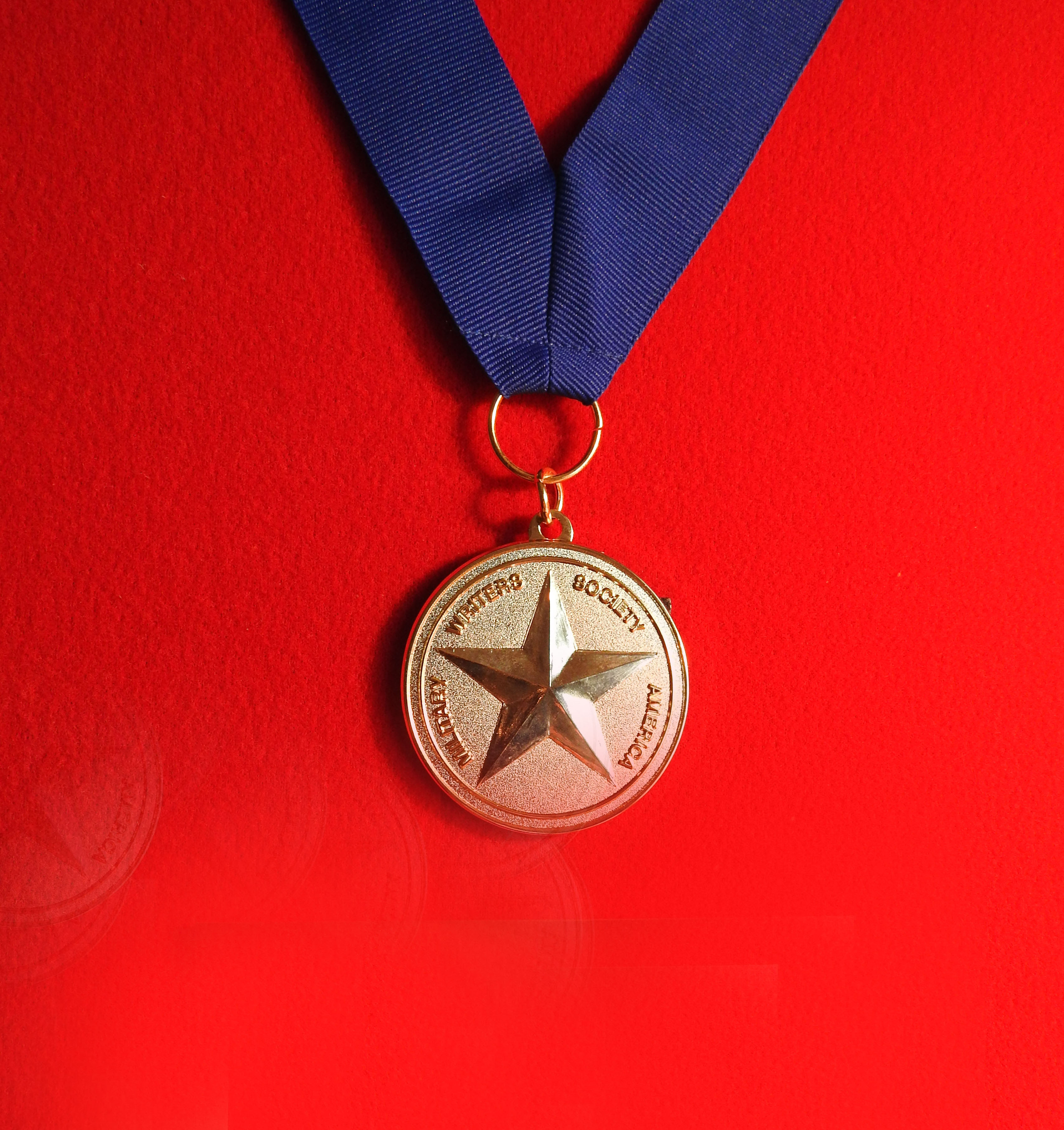 GOLD MEDAL - Historical Fiction - 2015, Military Writers Society of America.