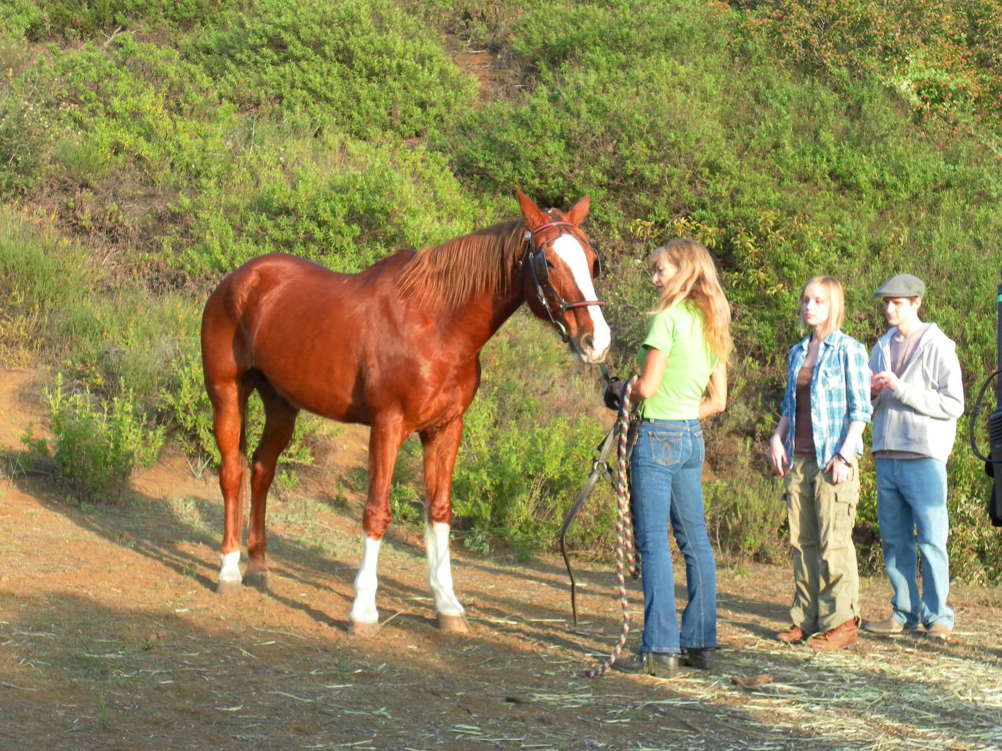 On set of The Last Wild