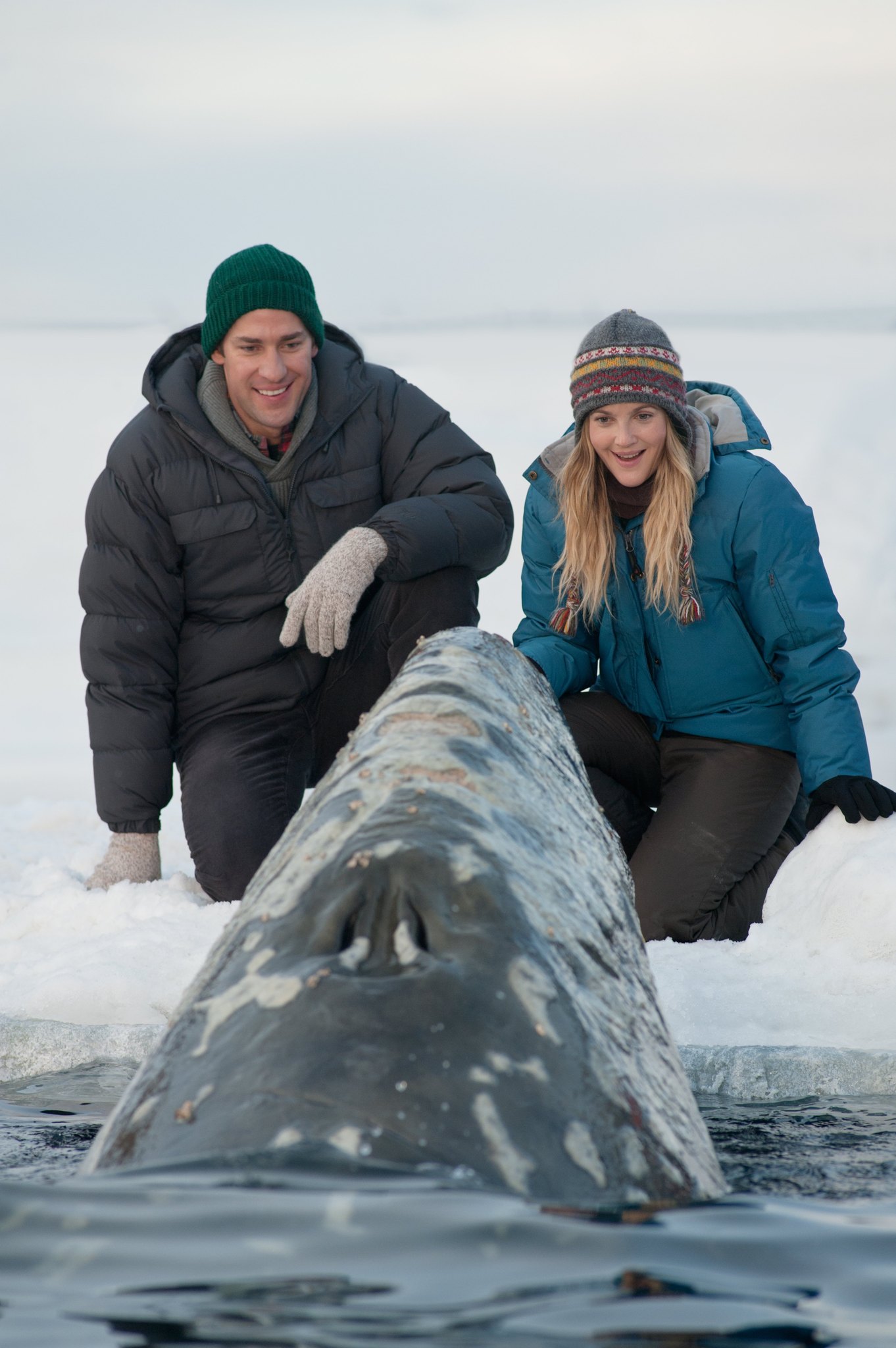 Still of Drew Barrymore and John Krasinski in Big Miracle (2012)