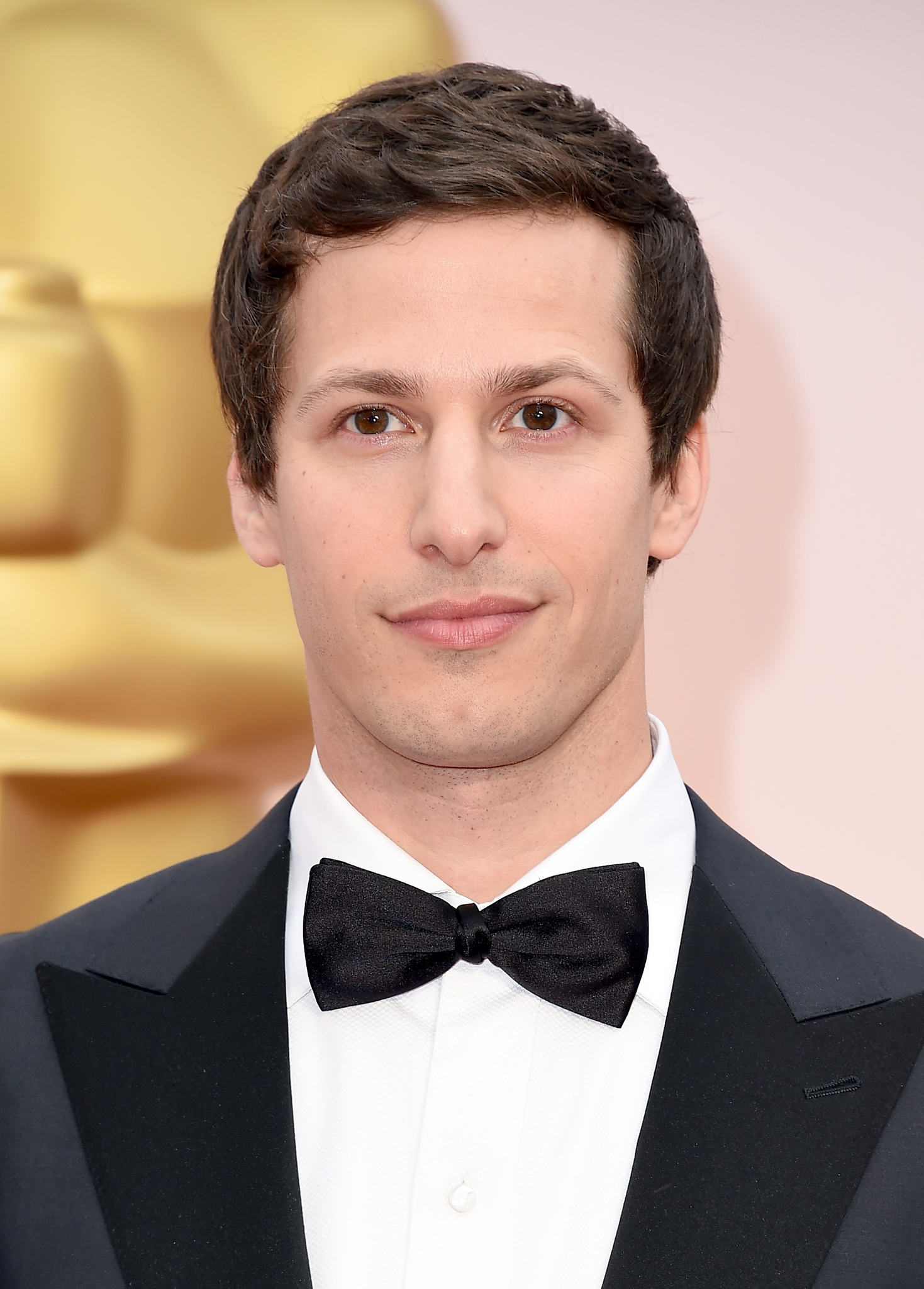 Andy Samberg at event of The Oscars (2015)