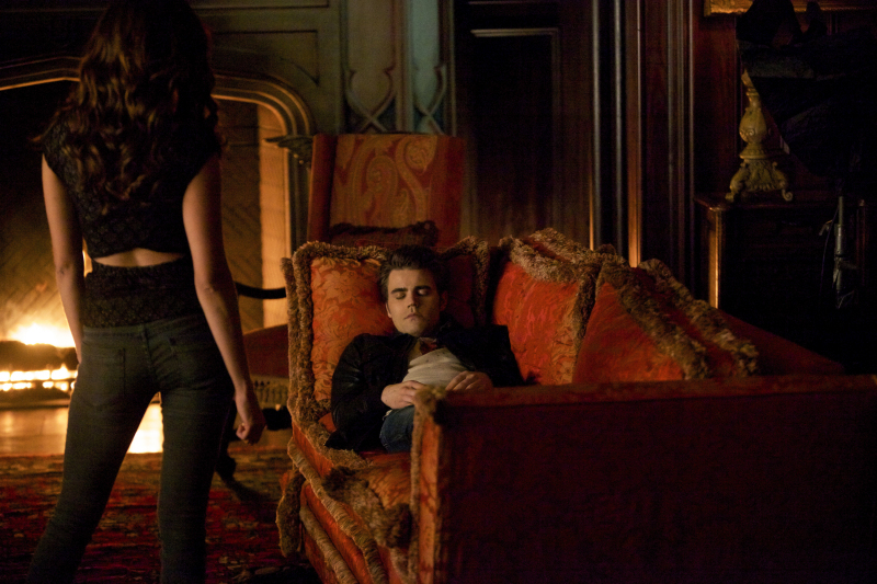 Still of Paul Wesley and Nina Dobrev in Vampyro dienorasciai (2009)