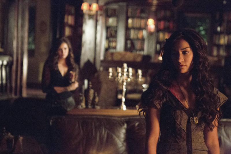 Still of Janina Gavankar and Nina Dobrev in Vampyro dienorasciai (2009)