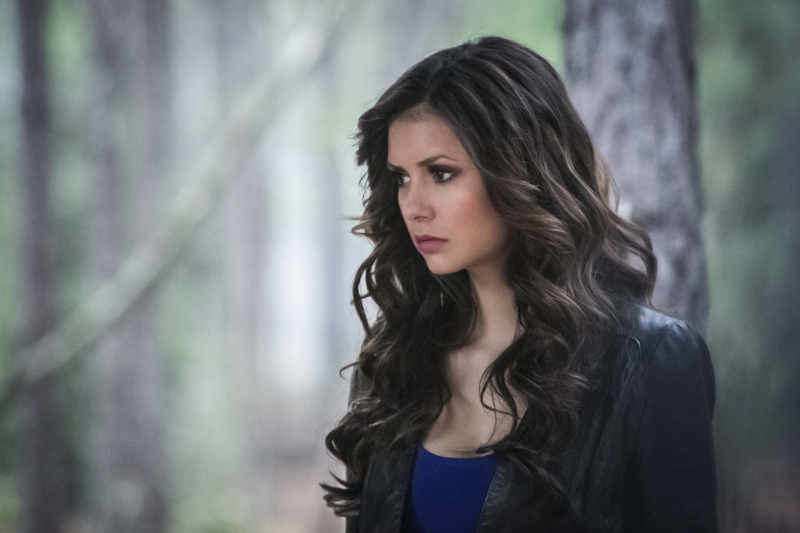 Still of Nina Dobrev in Vampyro dienorasciai (2009)