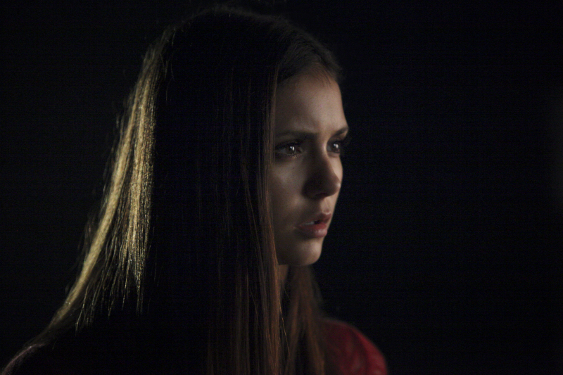 Still of Nina Dobrev in Vampyro dienorasciai (2009)