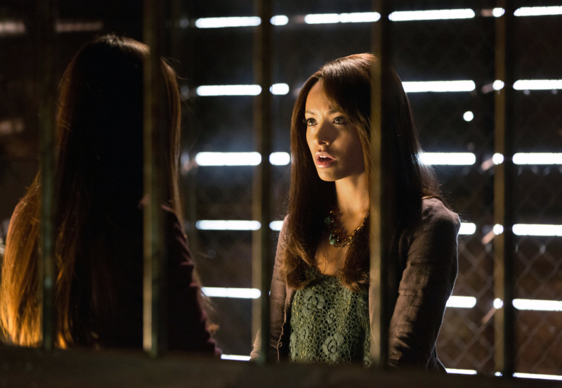 Still of Kat Graham and Nina Dobrev in Vampyro dienorasciai (2009)