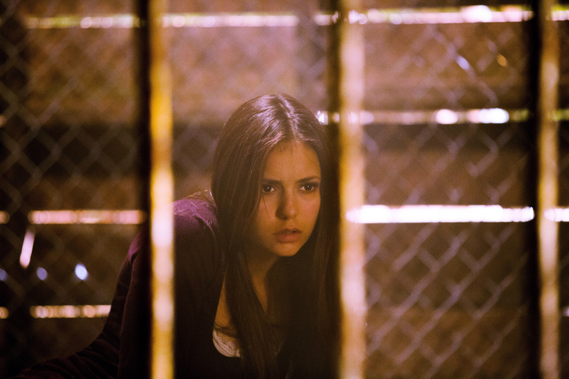 Still of Nina Dobrev in Vampyro dienorasciai (2009)